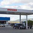 Brewer canopy thumbnail